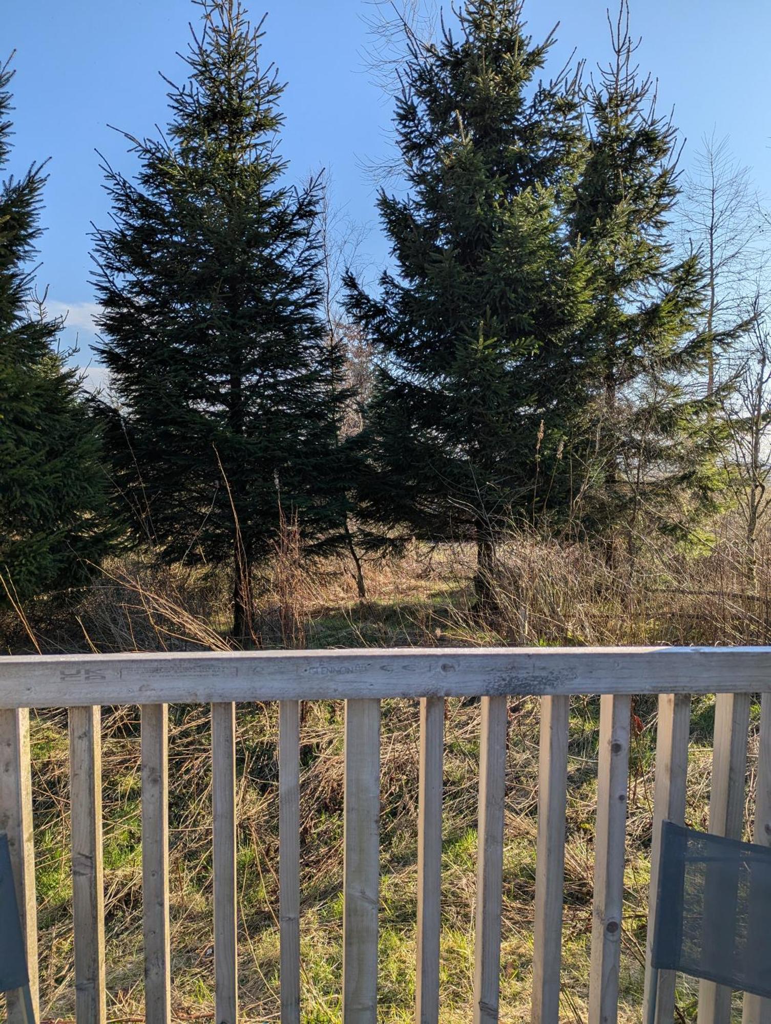 Blair Snug Hut Appartement Kelty Buitenkant foto
